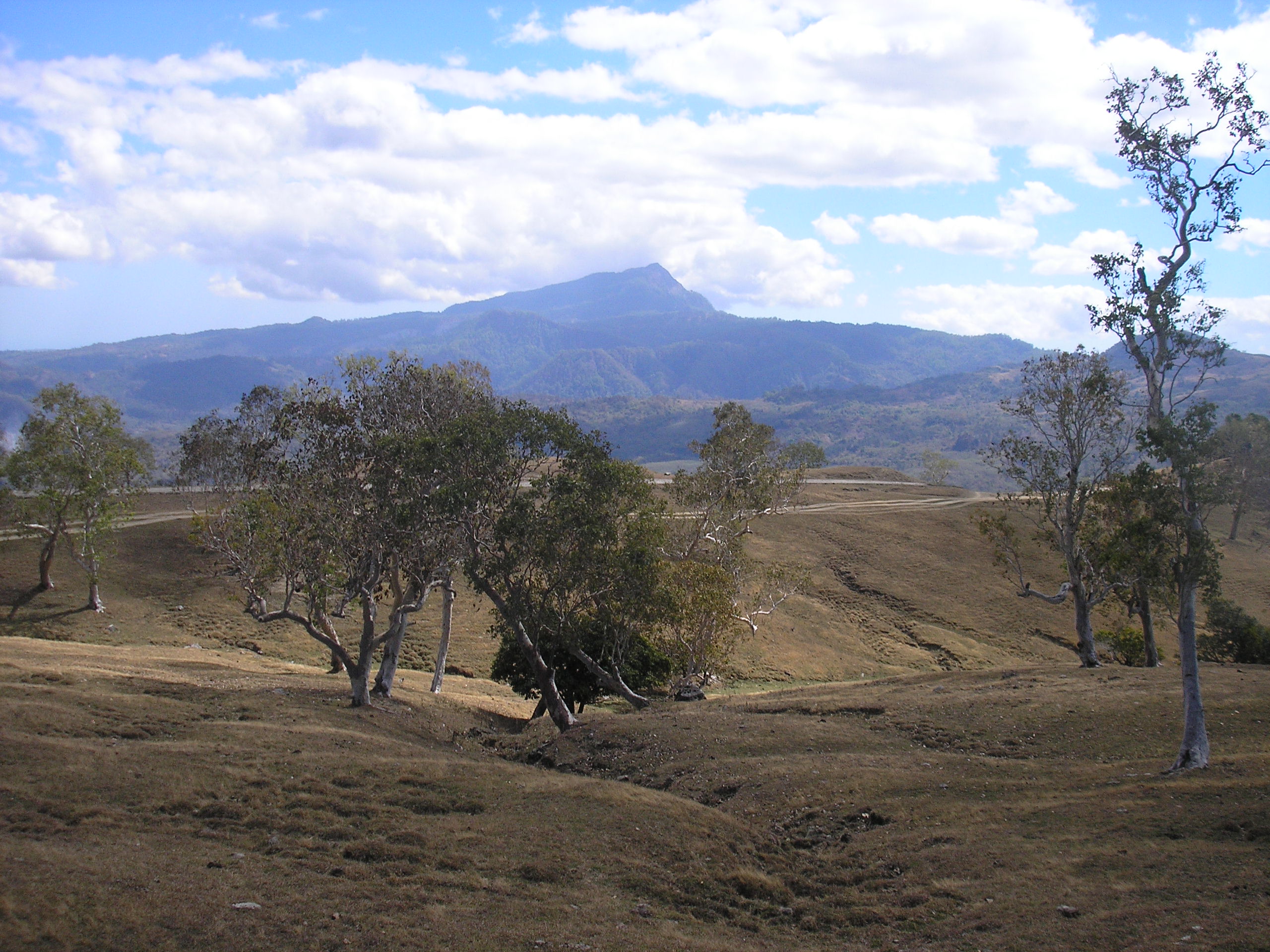 Fatu Timau | Gunung Bagging